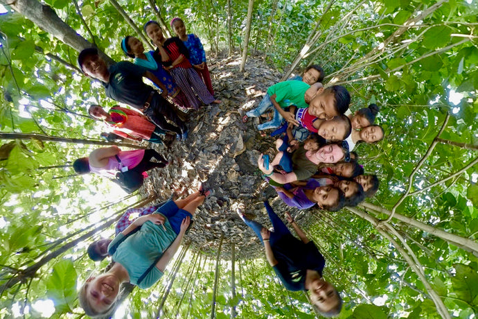 360° Video Walk Through a Reforestation Site in Laxmisthan, Nepal