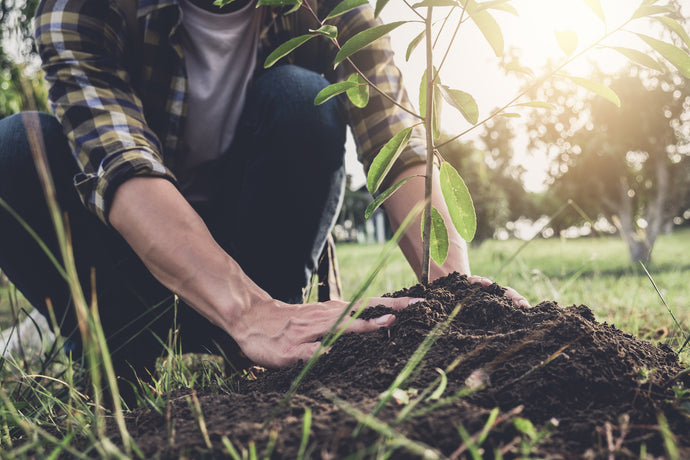 BAMWOO uses bamboo toothbrushes to plant 17,590 trees in 2018