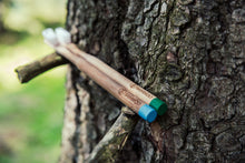 Two BAMWOO bamboo toothbrushes on a tree branch