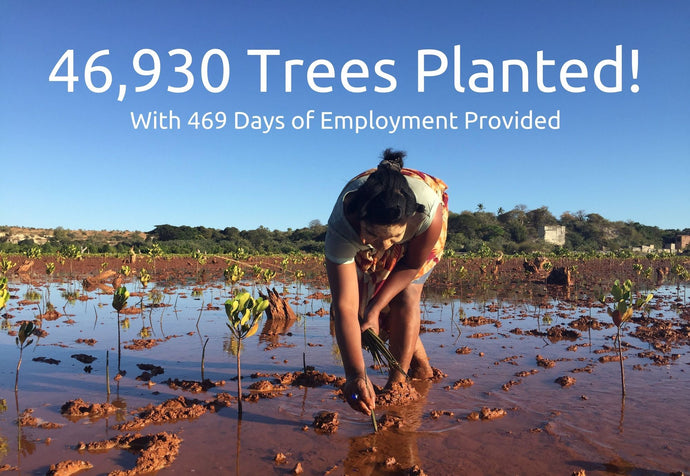 BAMWOO Has Planted 46,930 Trees | One Brush = One Tree Mission